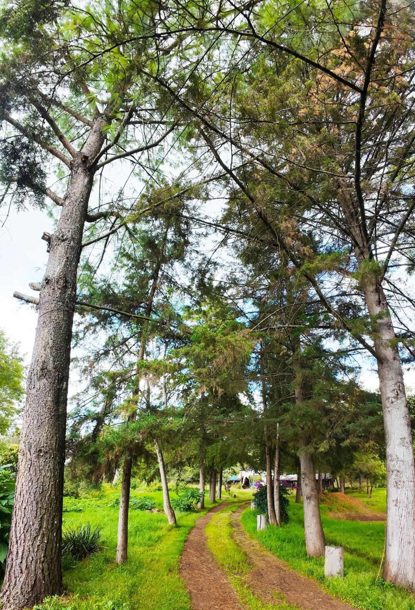 Villa Patzcuaro Garden Hotel Εξωτερικό φωτογραφία